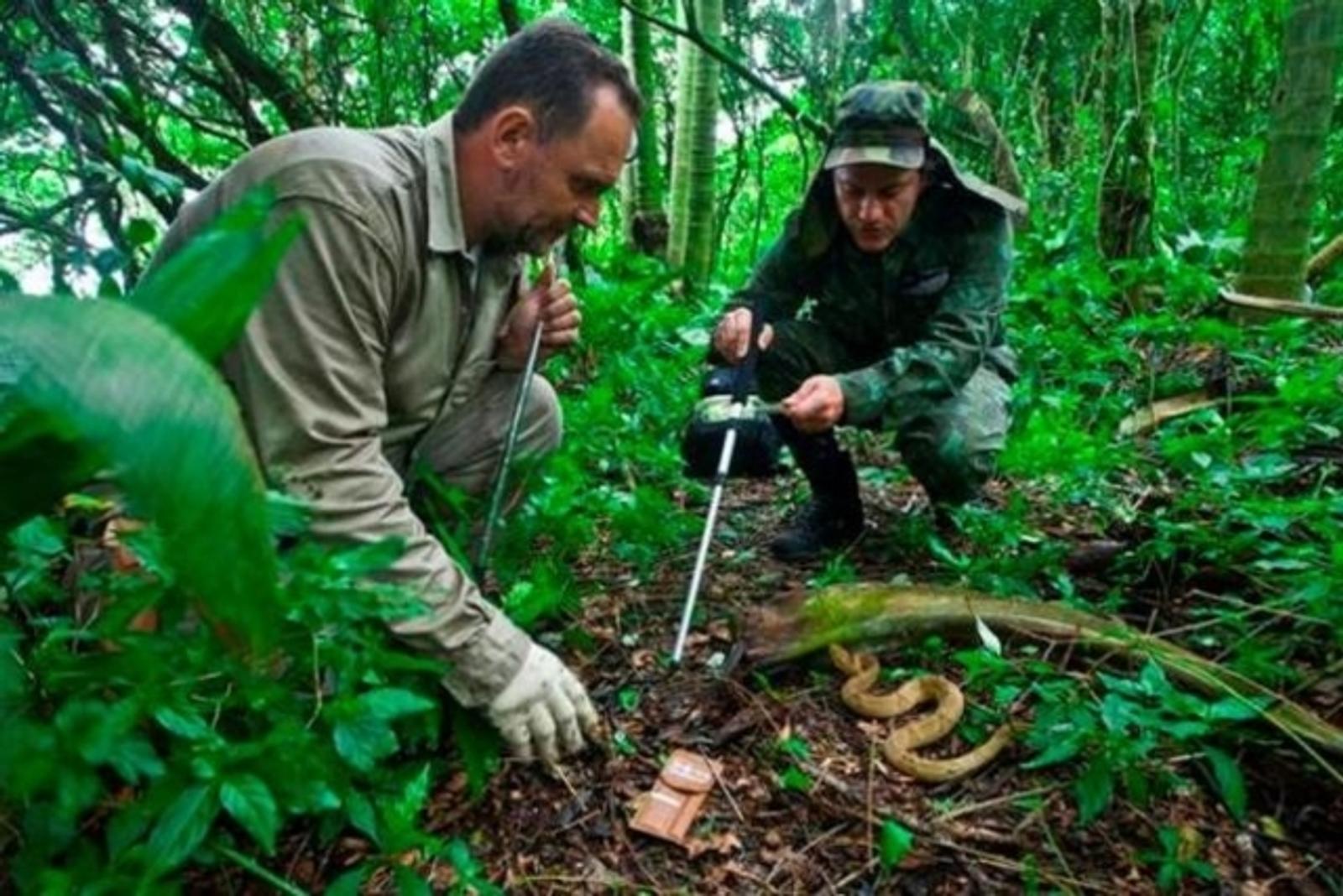 Mengenal Snake Island, Pulau Kecil Paling Mematikan di Dunia