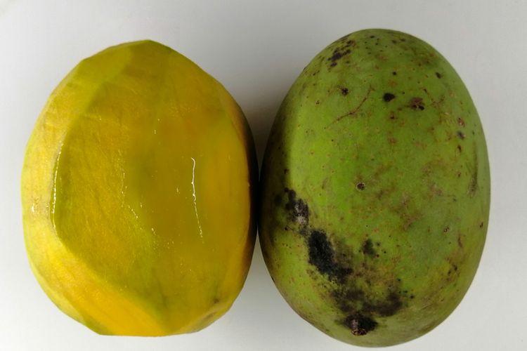 Serupa tapi Berbeda, Berikut 3 Perbedaan Kuini dan Mangga