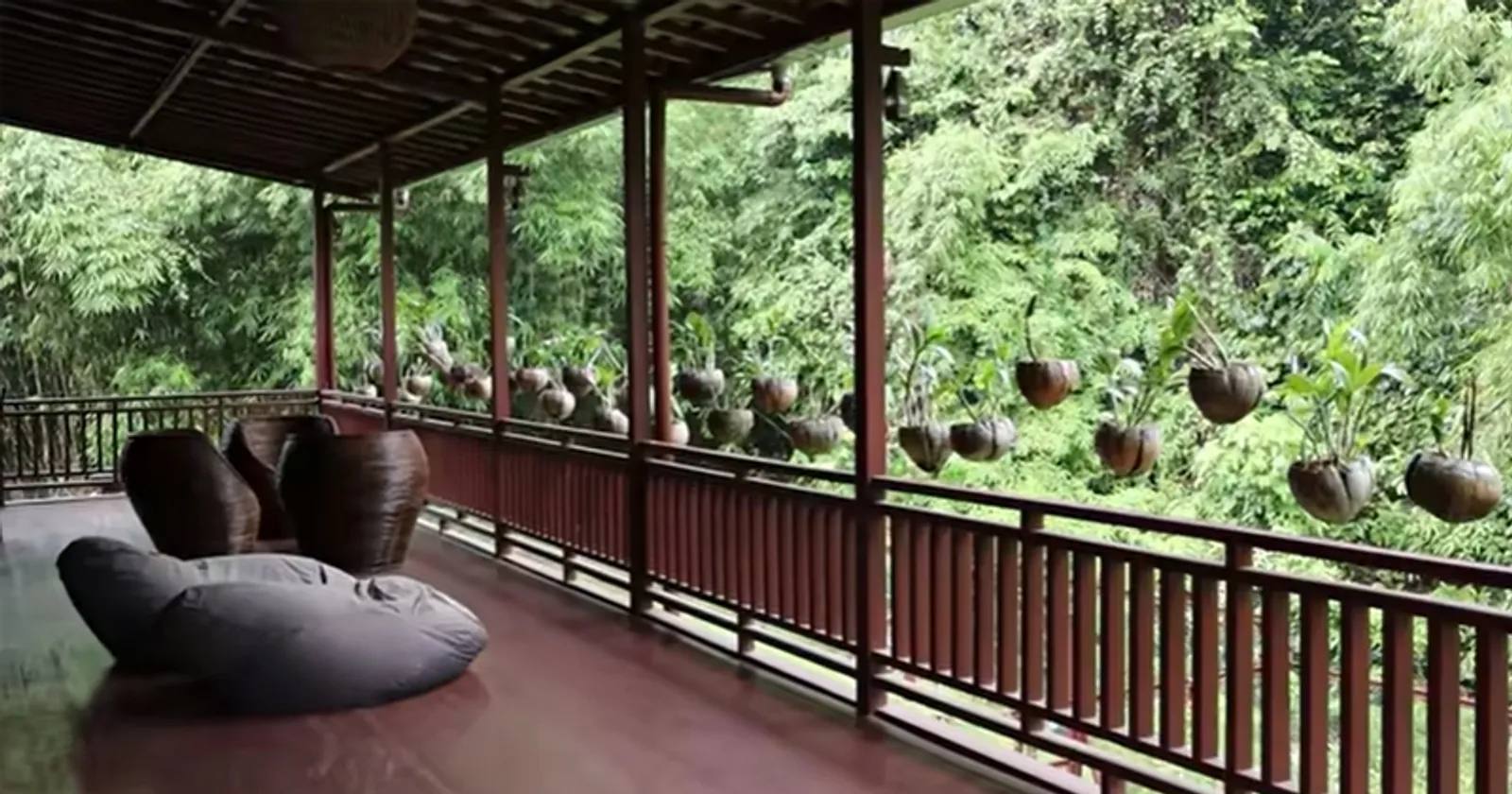 12 Foto Rumah Andrew Kalaweit yang Tinggal di Tengah Hutan Kalimantan