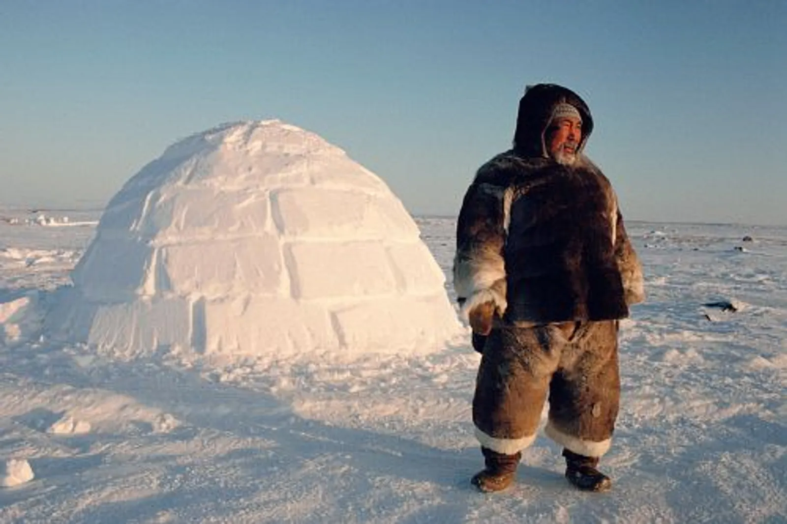 Tinggal di Kutub Utara, Begini 5 Fenomena Kehidupan Orang Eskimo