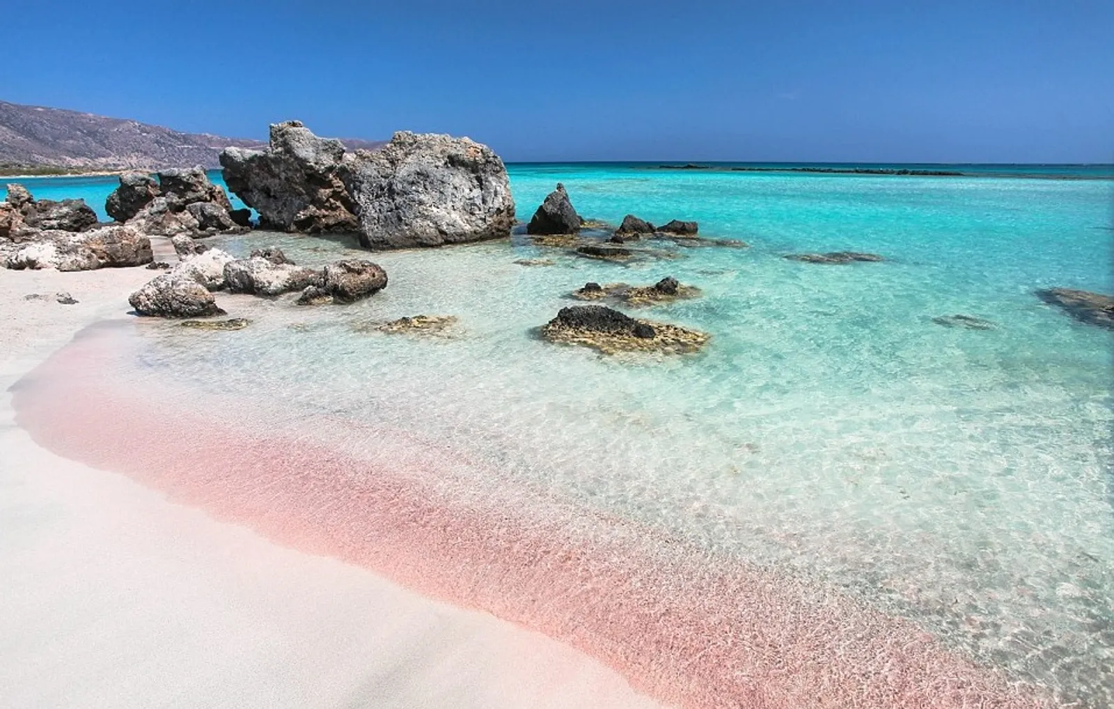 9 Destinasi Pantai Pink Terindah di Dunia yang Wajib Dikunjungi 