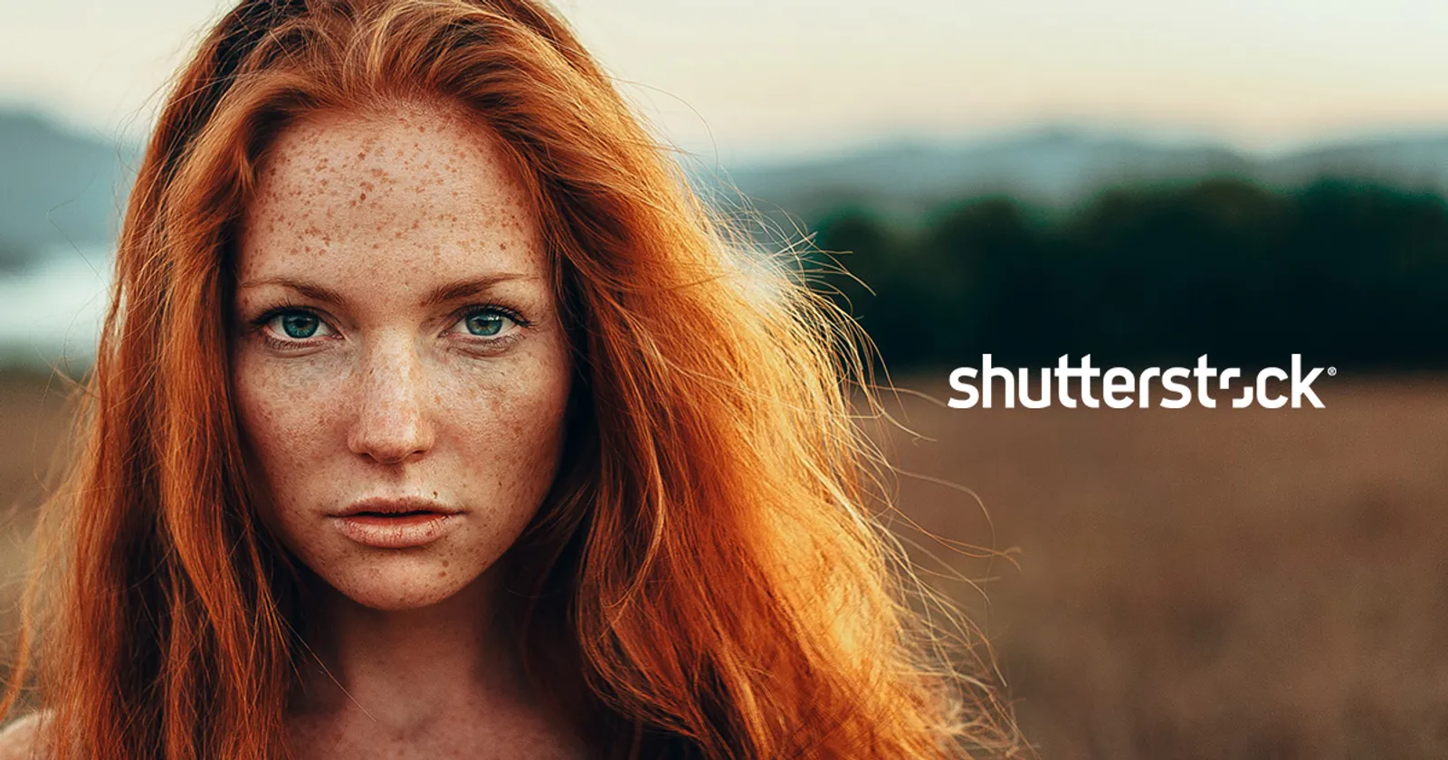 Dari Foto jadi Cuan, Ini 5 Cara menjual Foto di Shutterstock