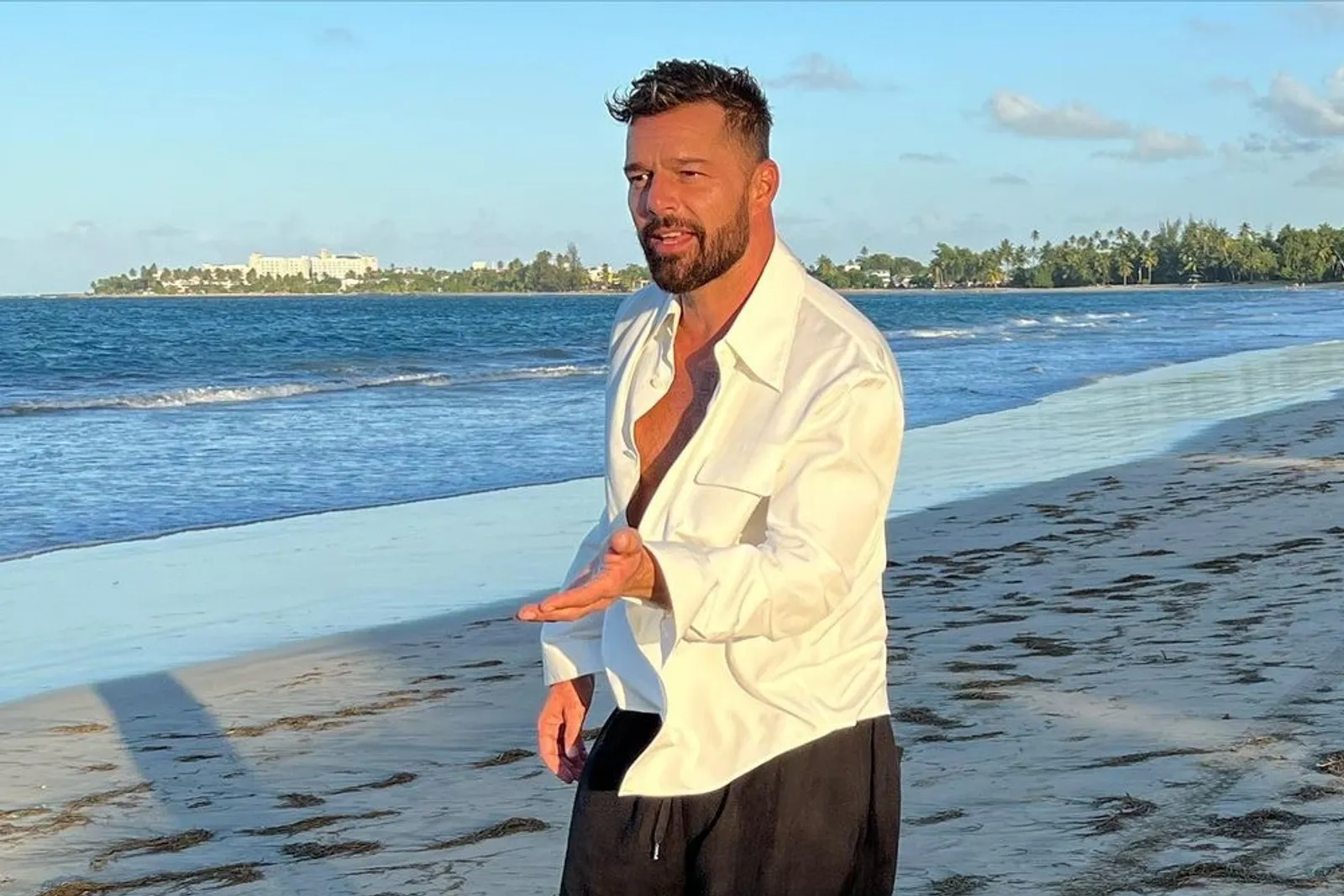 7 Fakta Asmara Ricky Martin, Dituduh Lakukan Kekerasan dalam Hubungan