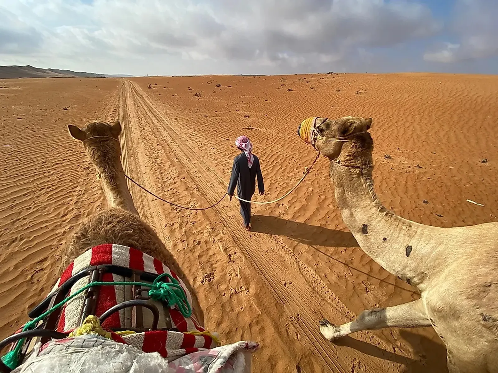 11 Gurun Terluas di Dunia, Gurun Sahara Posisi ke Berapa?