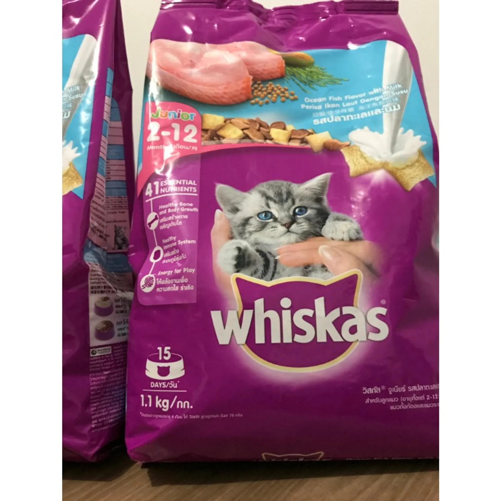 9 Rekomendasi Merek Makanan Penggemuk Kucing Kaya Nutrisi