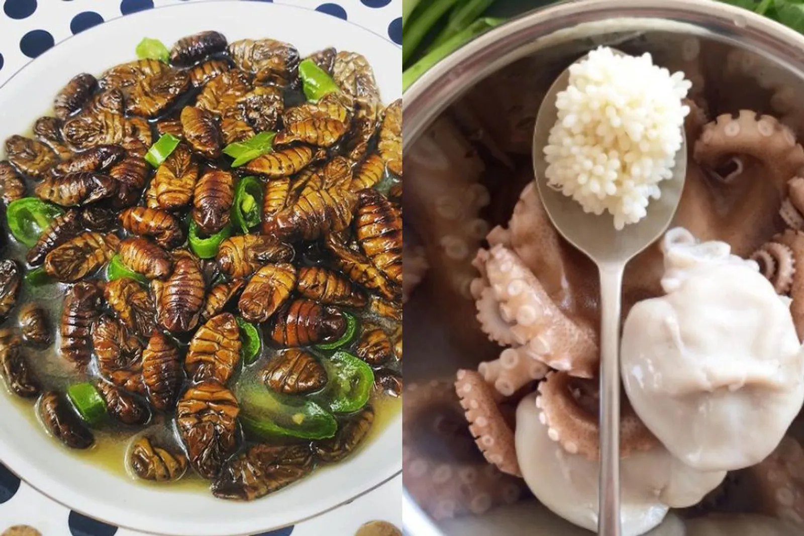 Termasuk Ulat Panggang, Ini 7 Makanan Korea Teraneh yang Ternyata Enak