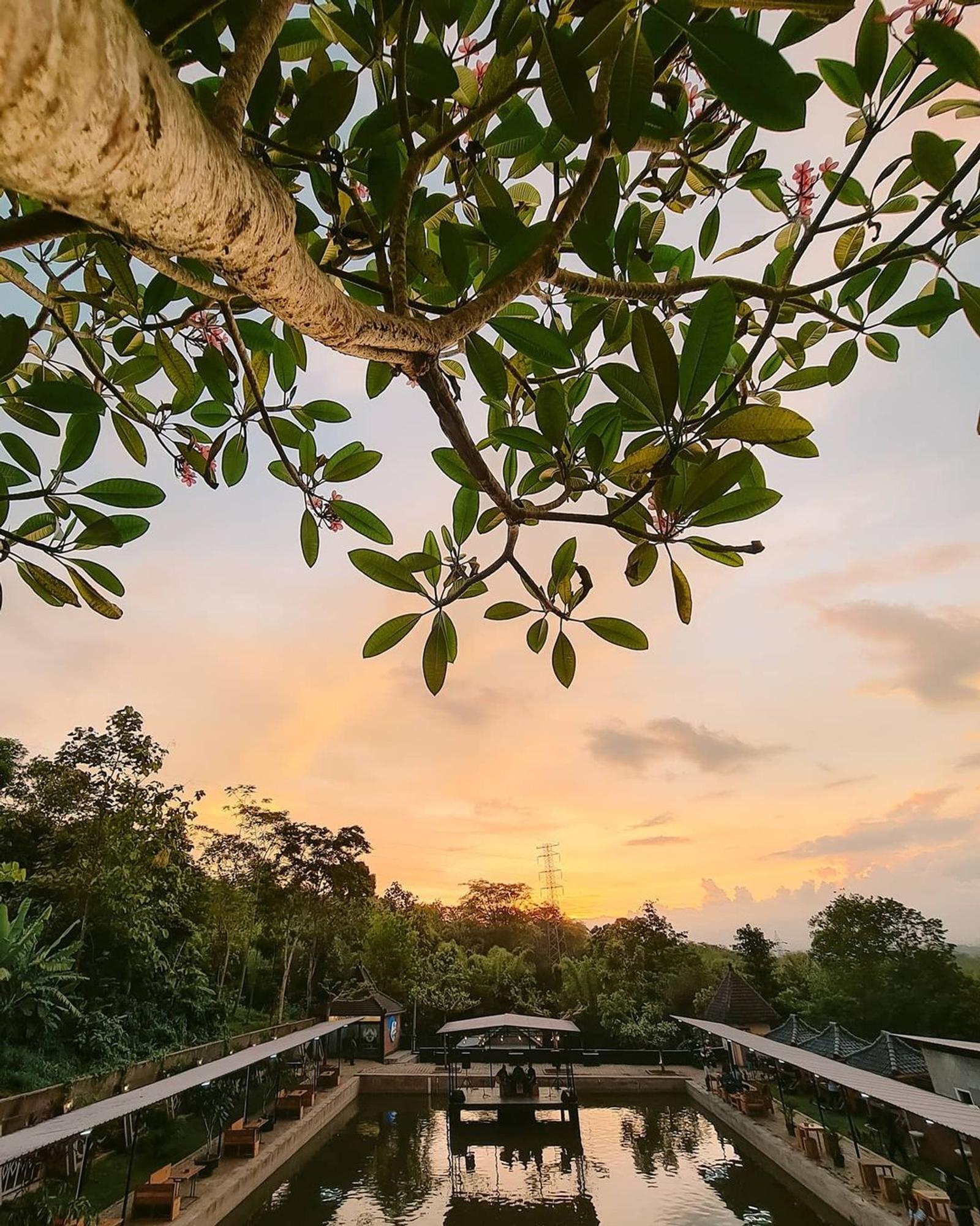 15 Tempat Nongkrong di Malang dengan View Bagus