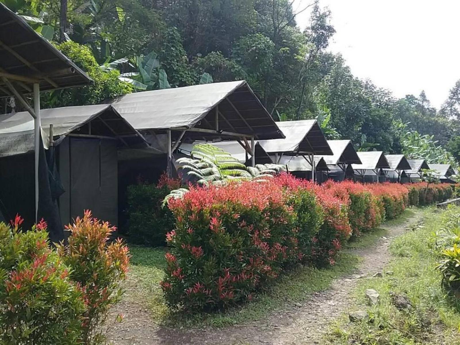 Lepas Penat, Ini 7 Rekomendasi Glamping Dekat Jakarta