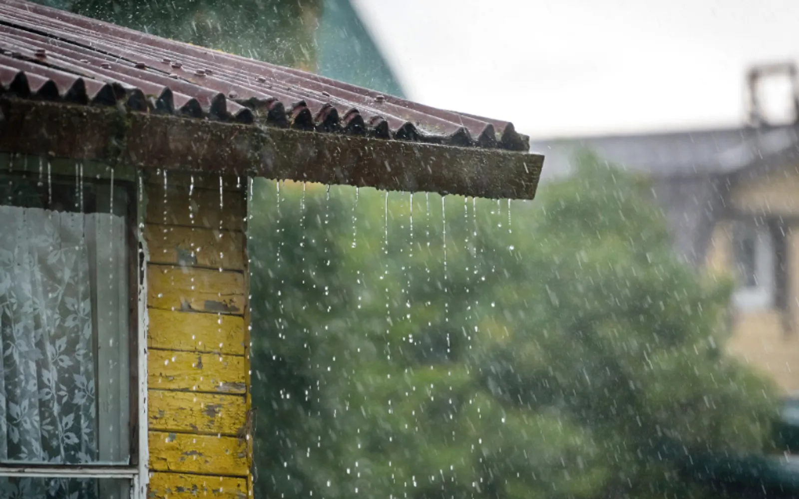 8 Hal yang Harus Diperhatikan Penghuni Rumah Ketika Musim Hujan Tiba