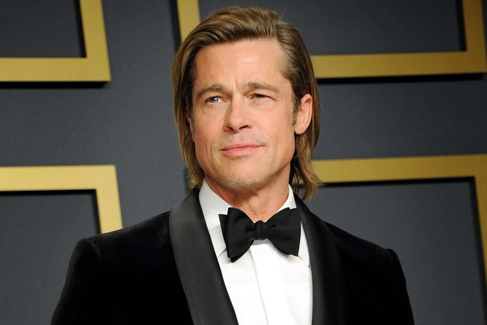 Kepergok Bermesraan, 7 Fakta Rumor Kencan Brad Pitt dan Ines de Ramon