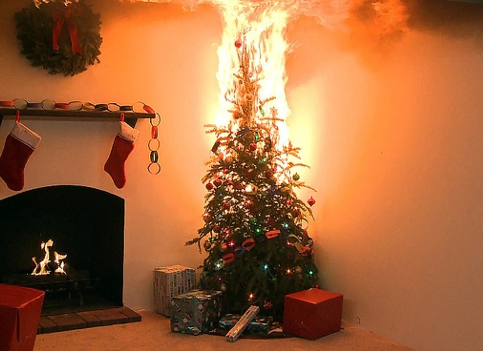 8 Fakta Menarik Pohon Natal, Ada yang Terbuat dari Sarang Laba-laba