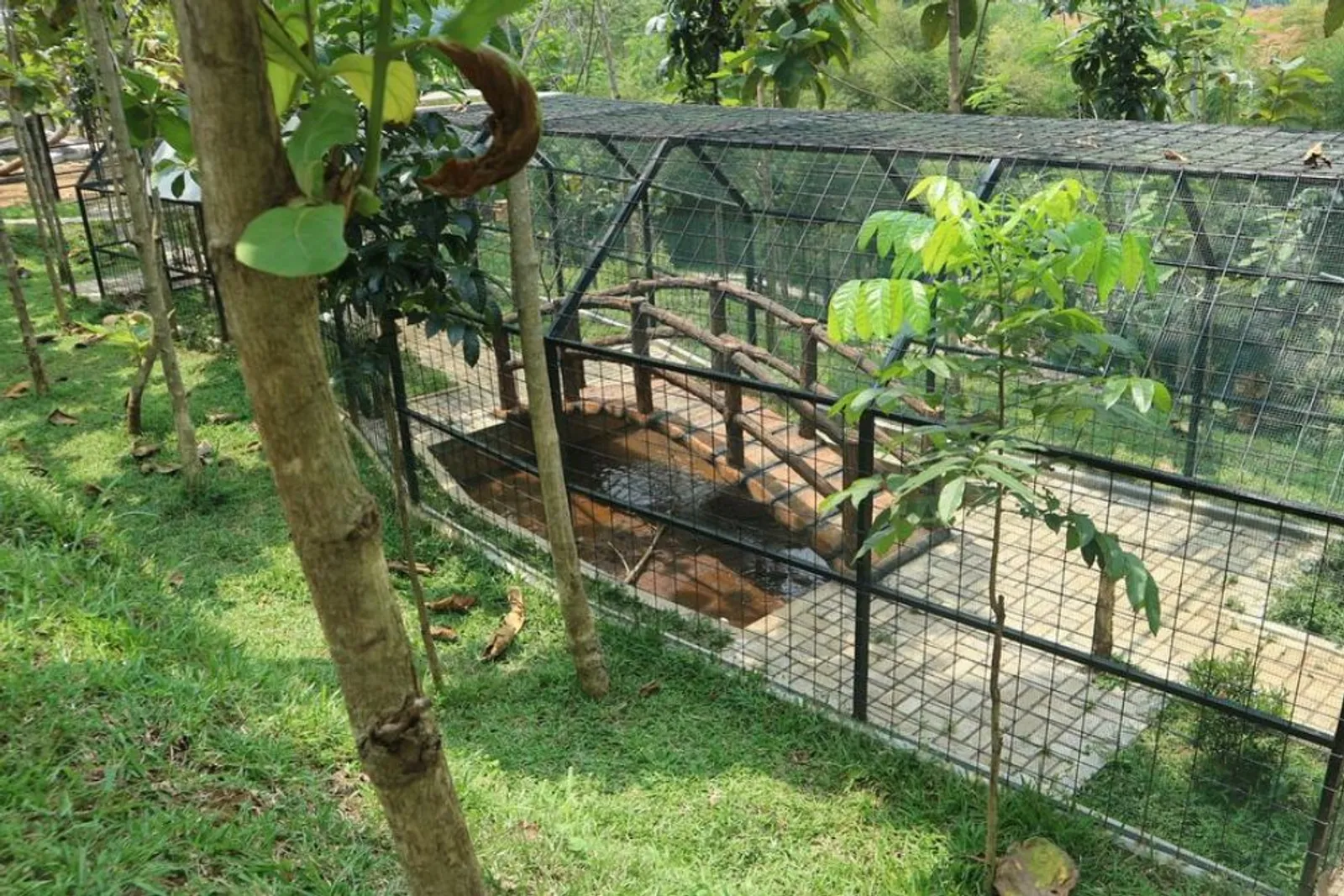 9 Fakta di Balik Tutupnya Bogor Mini Zoo, Ada Kasus 2 Monyet Mati