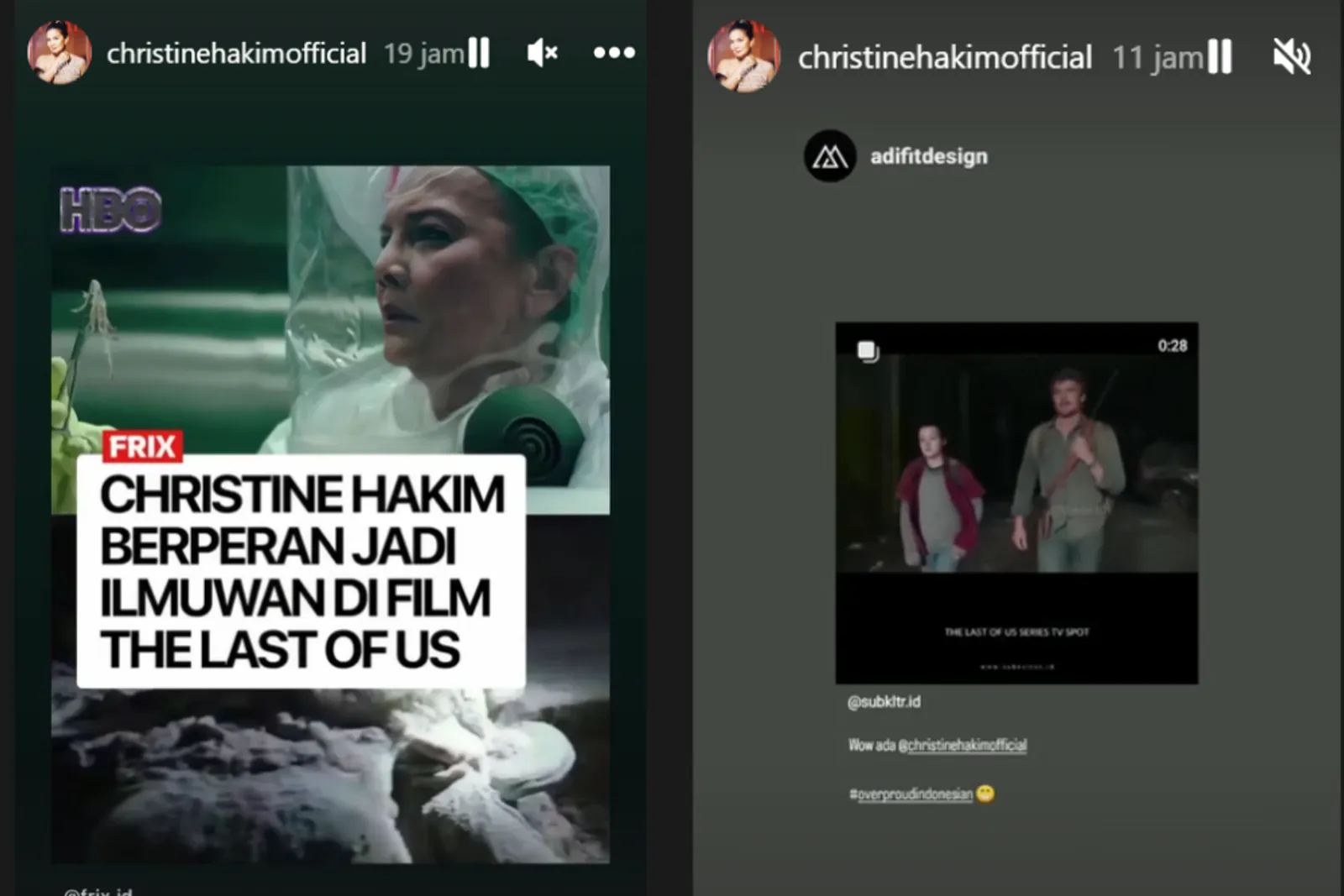 Fakta Christine Hakim, Muncul dalam Trailer serial 'The Last of Us'