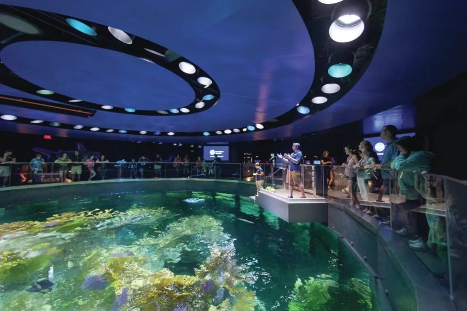 10 Akuarium Terbesar di Dunia, Ada AquaDom yang Dikabarkan Pecah