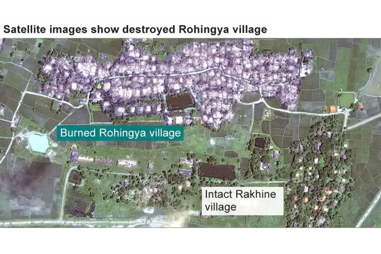 Terdampar di Aceh, Ini Fakta Konflik Muslim Rohingya di Myanmar