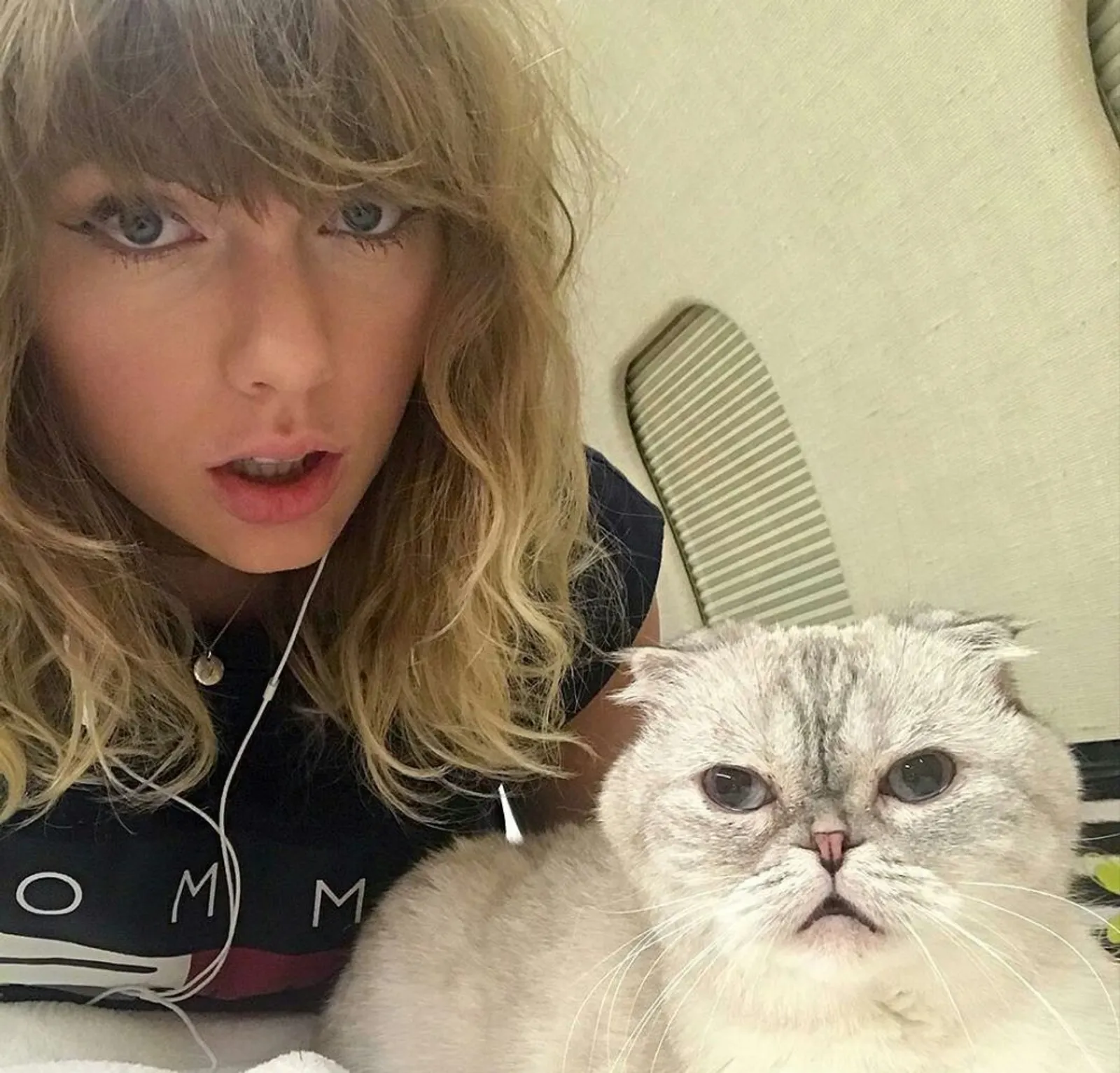 Kucing Taylor Swift Masuk Daftar Hewan Peliharaan Terkaya di Dunia