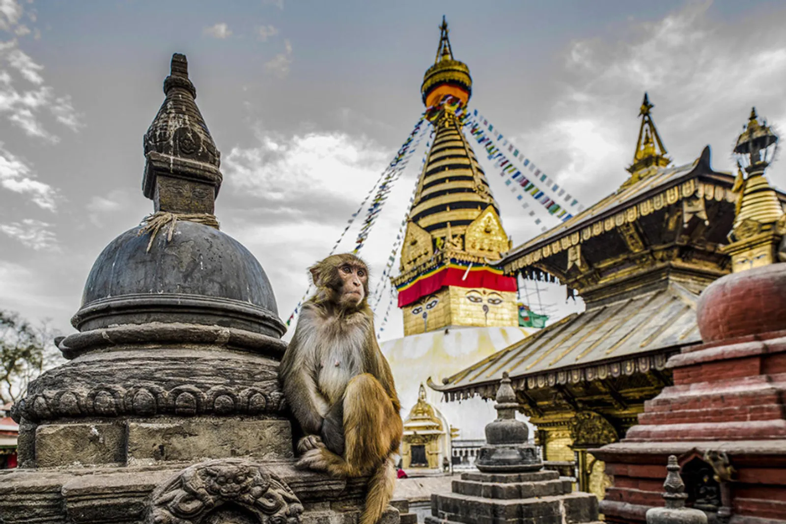 10 Tempat Wisata Populer di Nepal, Perpaduan Alam & Kebudayaan Lokal