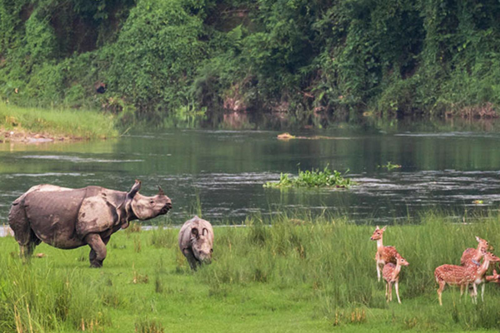 10 Tempat Wisata Populer di Nepal, Perpaduan Alam & Kebudayaan Lokal