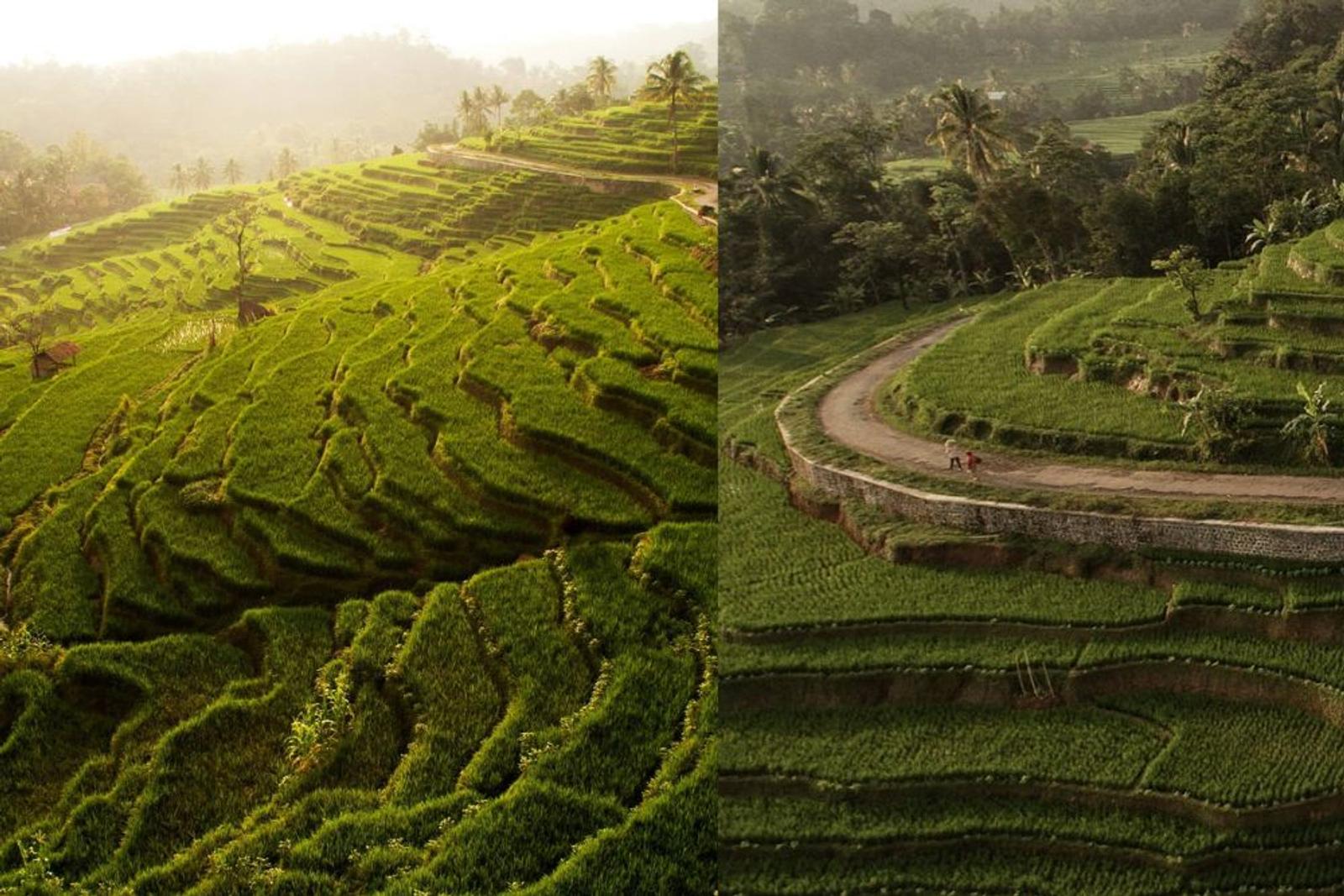 10 Tempat Wisata Majalengka yang Dekat Dengan Alam