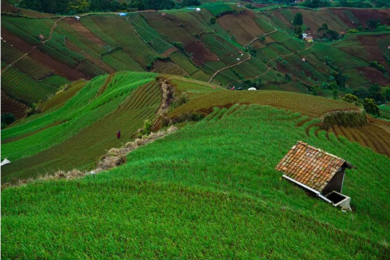 10 Tempat Wisata Majalengka yang Dekat Dengan Alam