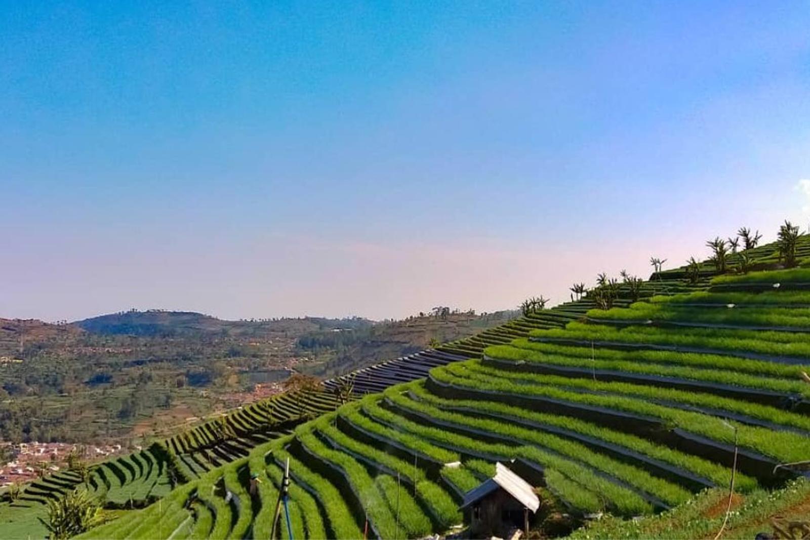 10 Tempat Wisata Majalengka yang Dekat Dengan Alam