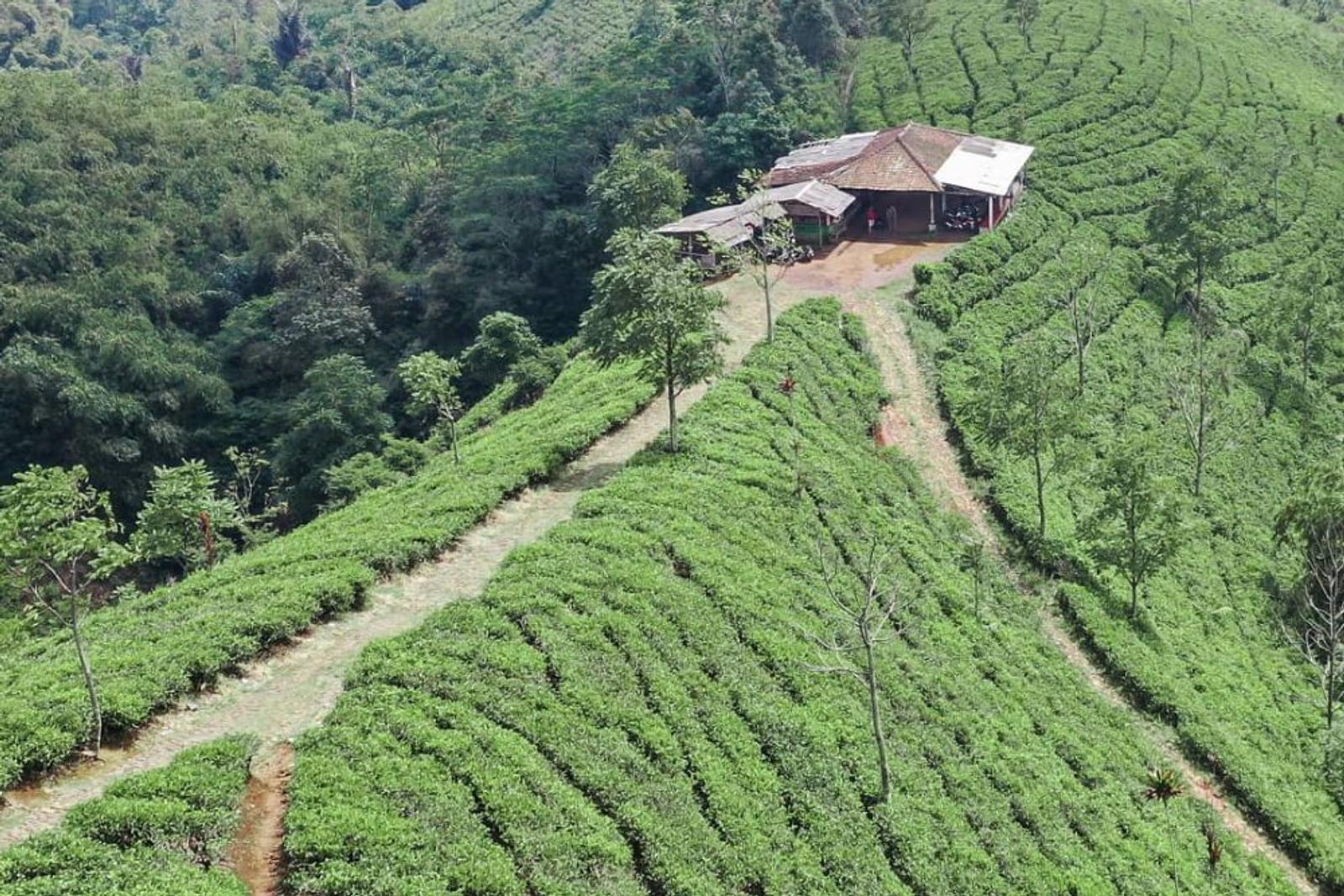 10 Tempat Wisata Majalengka yang Dekat Dengan Alam