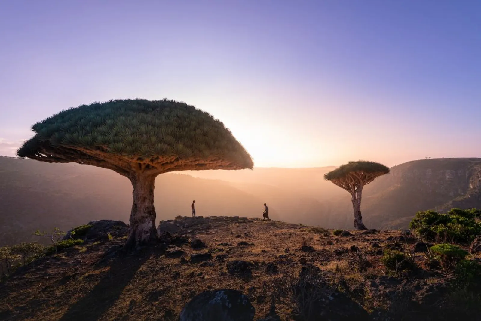 Penuh Misteri, Ini 13 Potret Menakjubkan Kehidupan Pulau Socotra