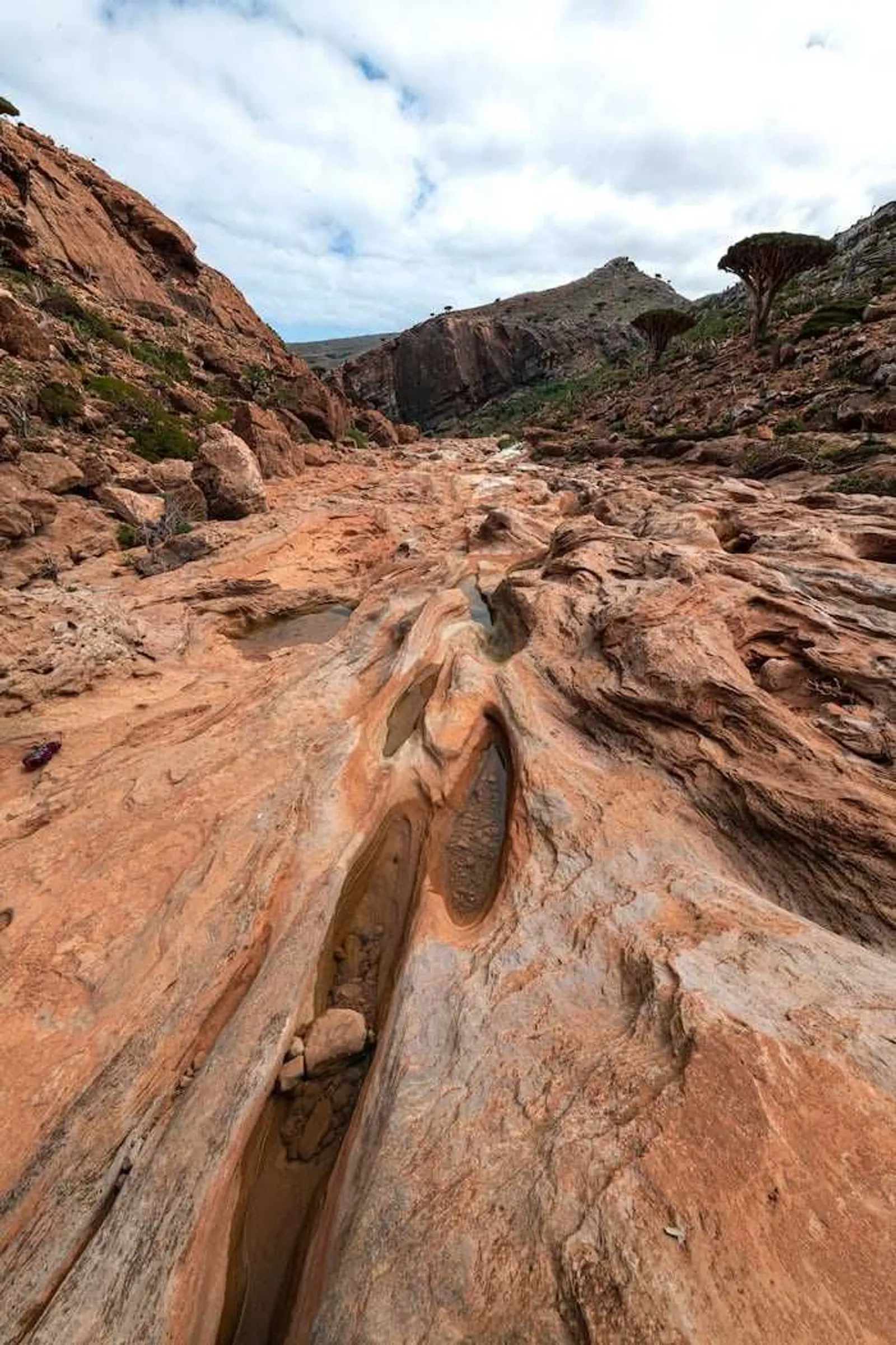 Penuh Misteri, Ini 13 Potret Menakjubkan Kehidupan Pulau Socotra