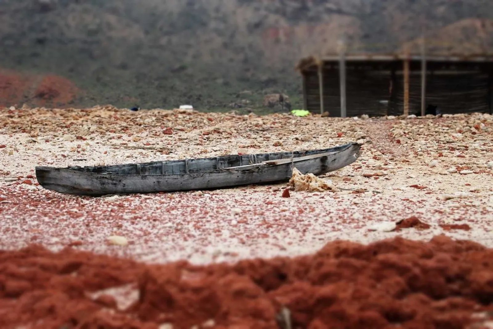 Penuh Misteri, Ini 13 Potret Menakjubkan Kehidupan Pulau Socotra