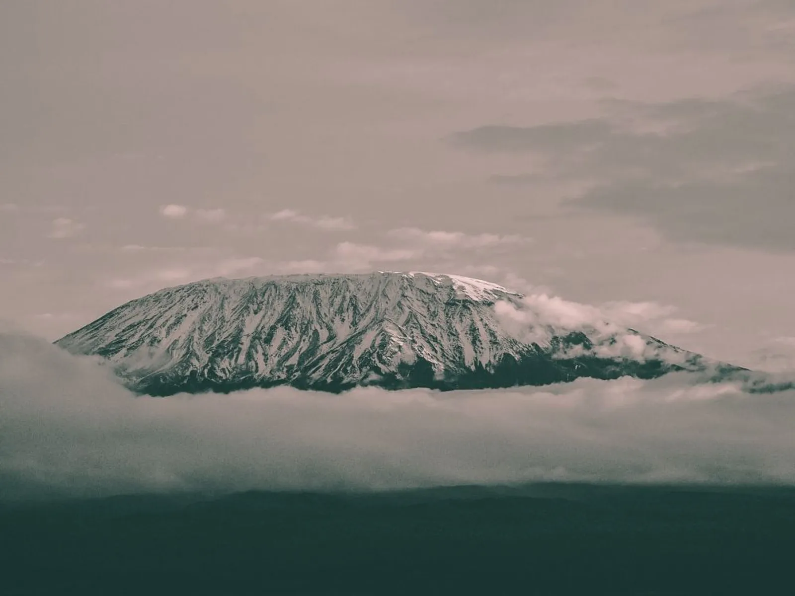 Banyak Hewan Unik, Ini 6 Fakta Gunung Kilimanjaro