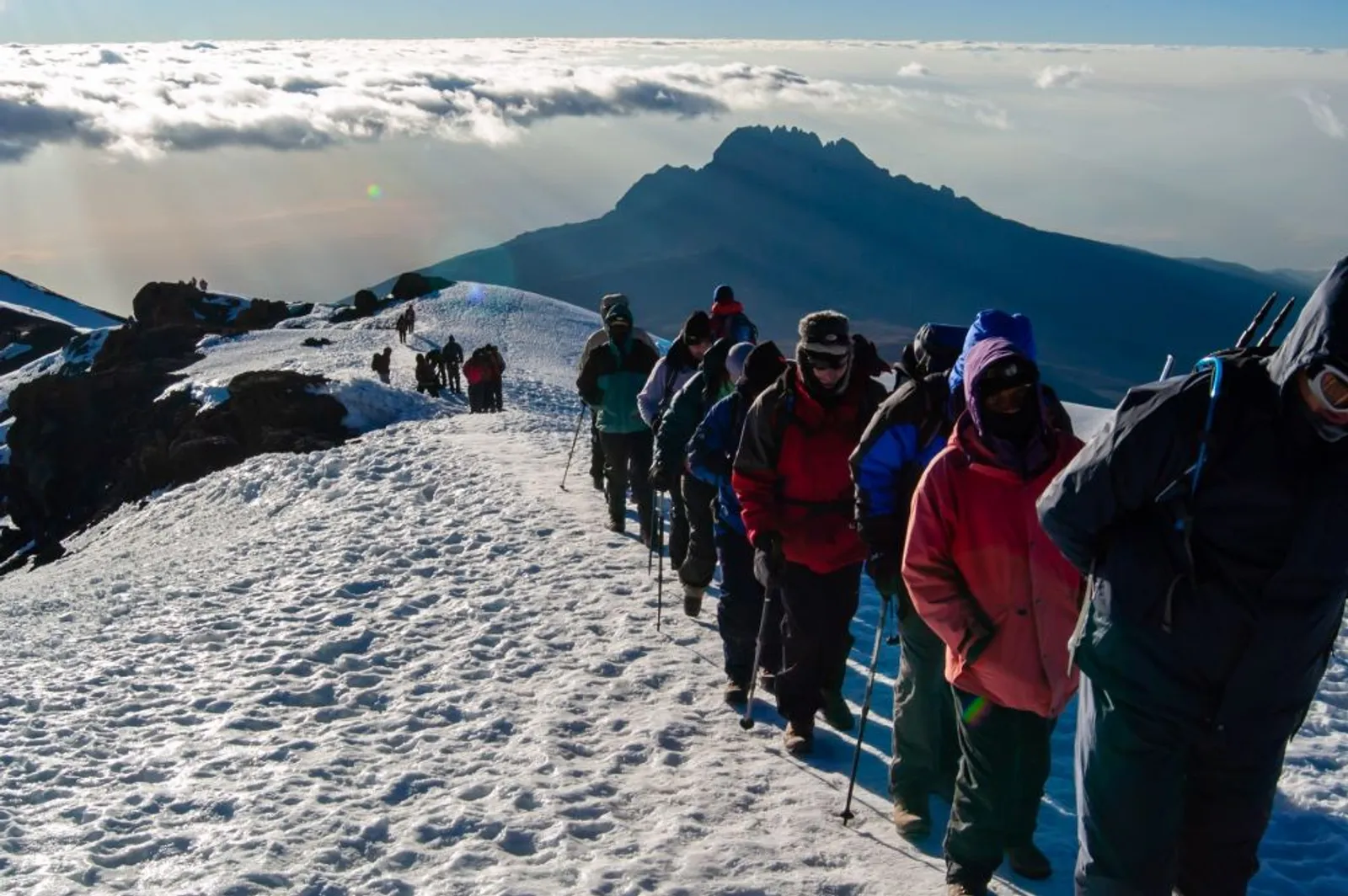 Banyak Hewan Unik, Ini 6 Fakta Gunung Kilimanjaro