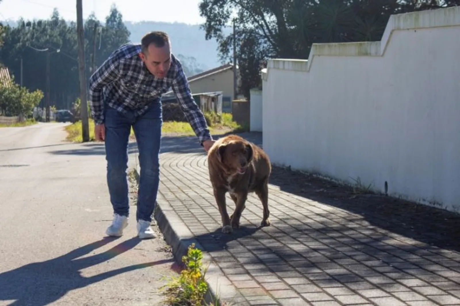 Berkenalan dengan Bobi, Anjing Tertua di Dunia yang Berusia 30 Tahun