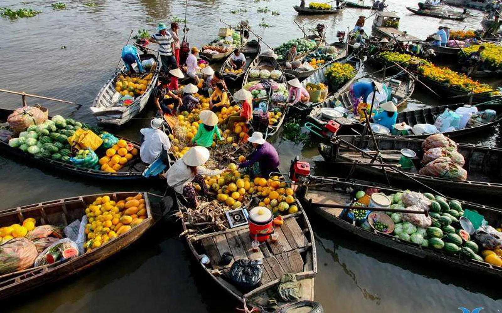 10 Rekomendasi Tempat Wisata di Vietnam, Penuh Lanskap Alam yang Indah