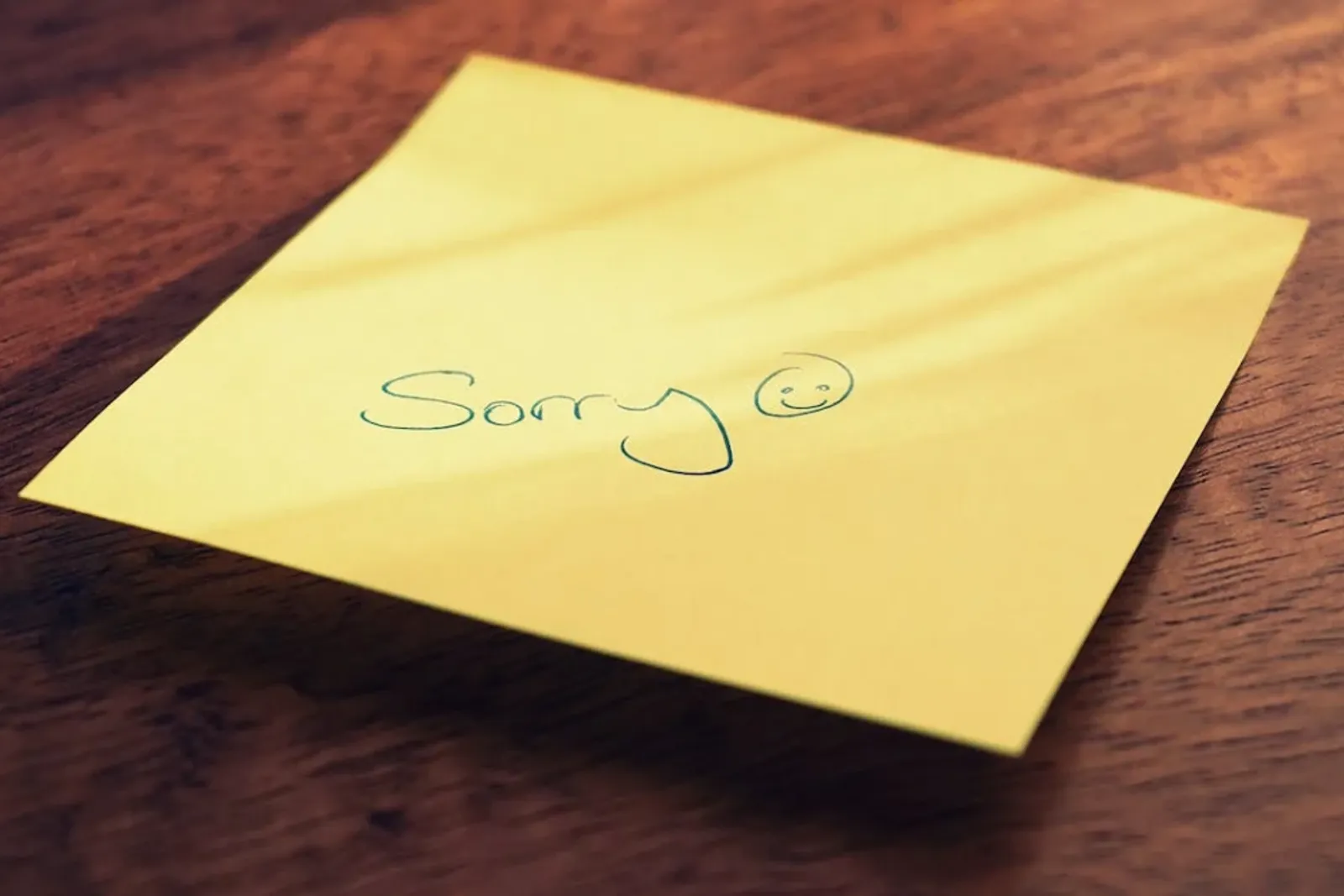 Kapan Kamu Boleh & Tidak Boleh Minta Maaf pada Pasangan? Ini Jawabnya