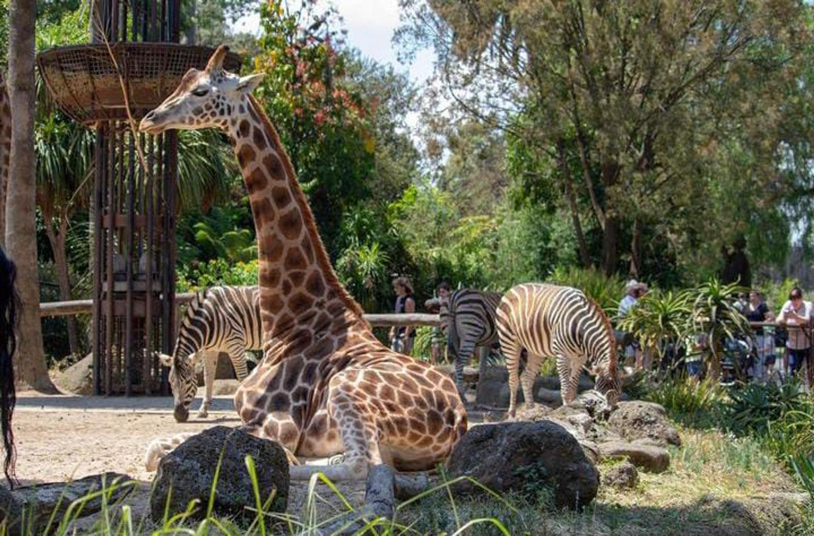 11 Rekomendasi Tempat Wisata Seru di Melbourne, Australia