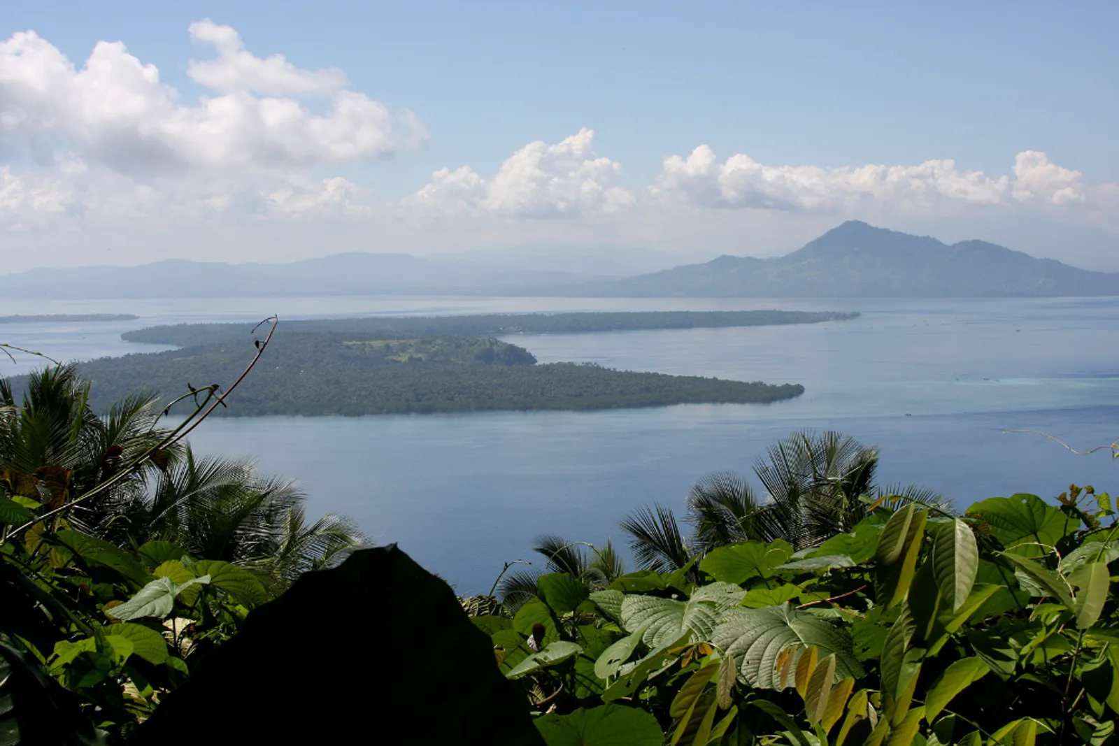 Bunaken: Lokasi, Harga Tiket, dan Pesona Alam Bawah Lautnya