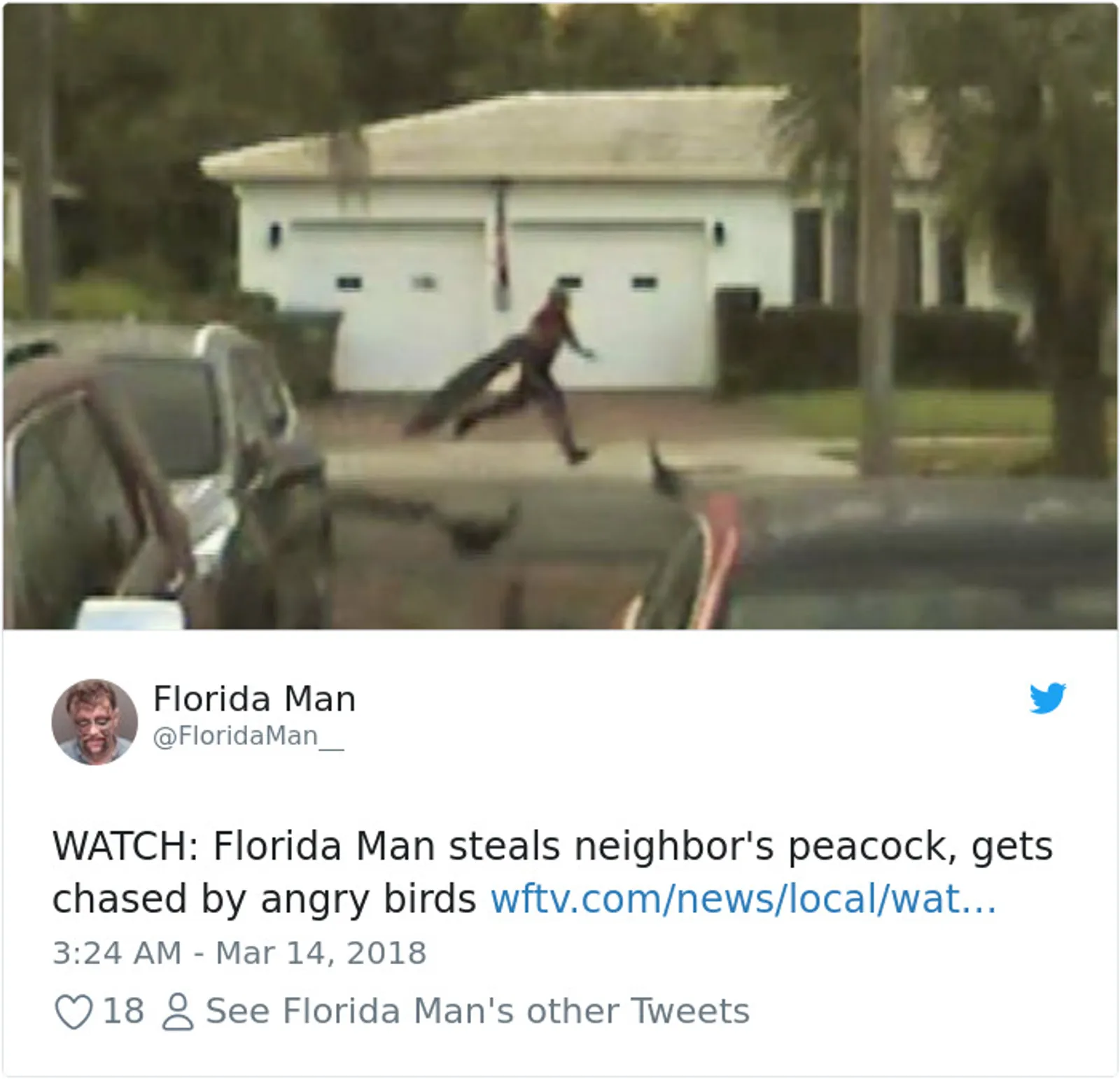 15+ Potret Absurd Kota Florida, Depok Nggak Ada Apa-apanya!