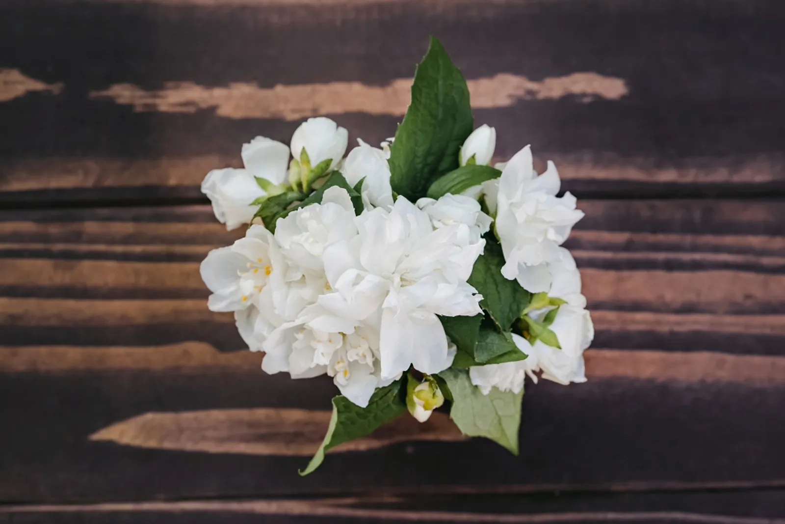 Cantik! Ini 10 Bunga Paling Populer untuk Dekorasi Pernikahan