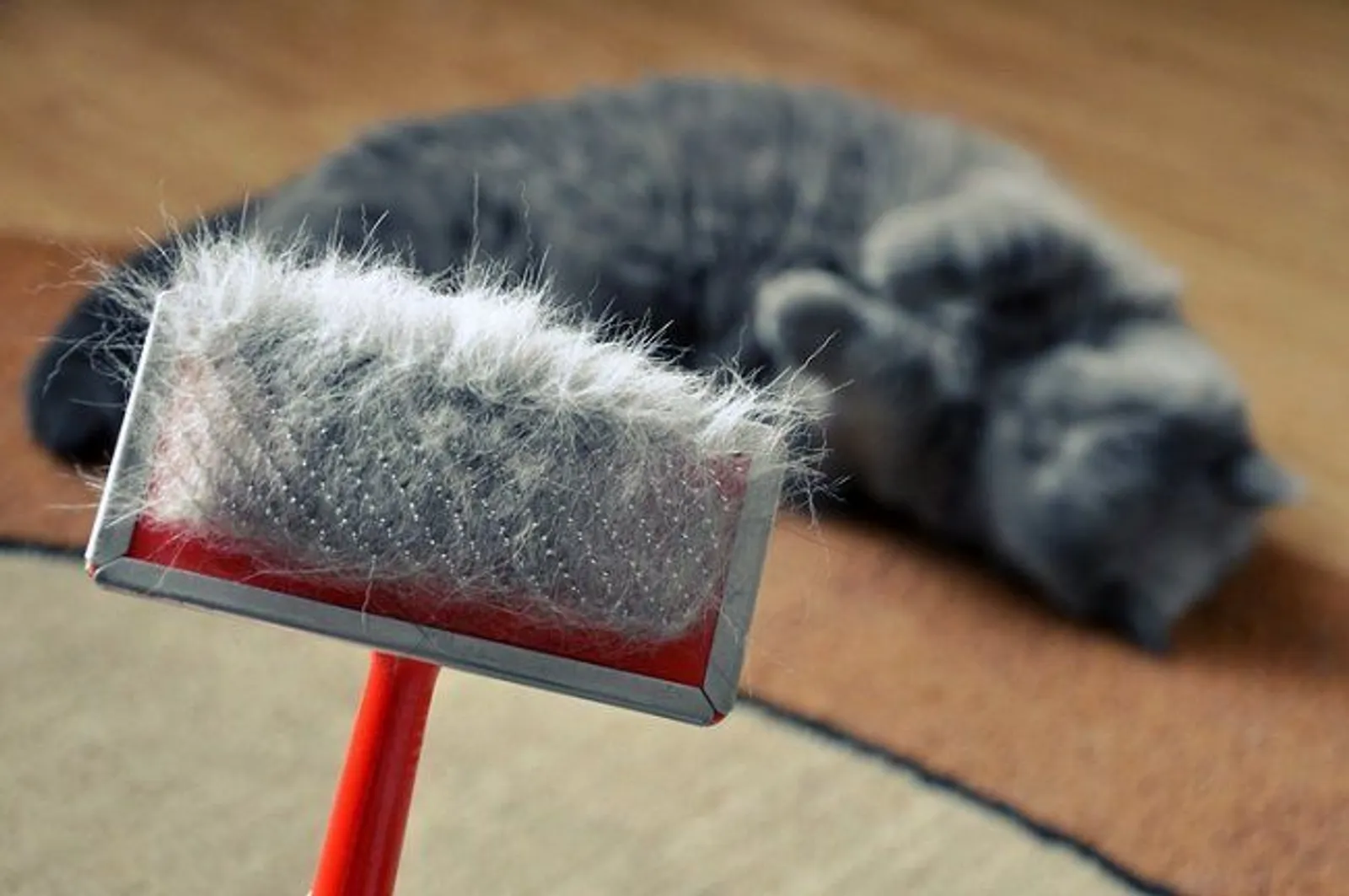 10 Benda yang Tak Boleh Dibersihkan dengan Vacuum Cleaner