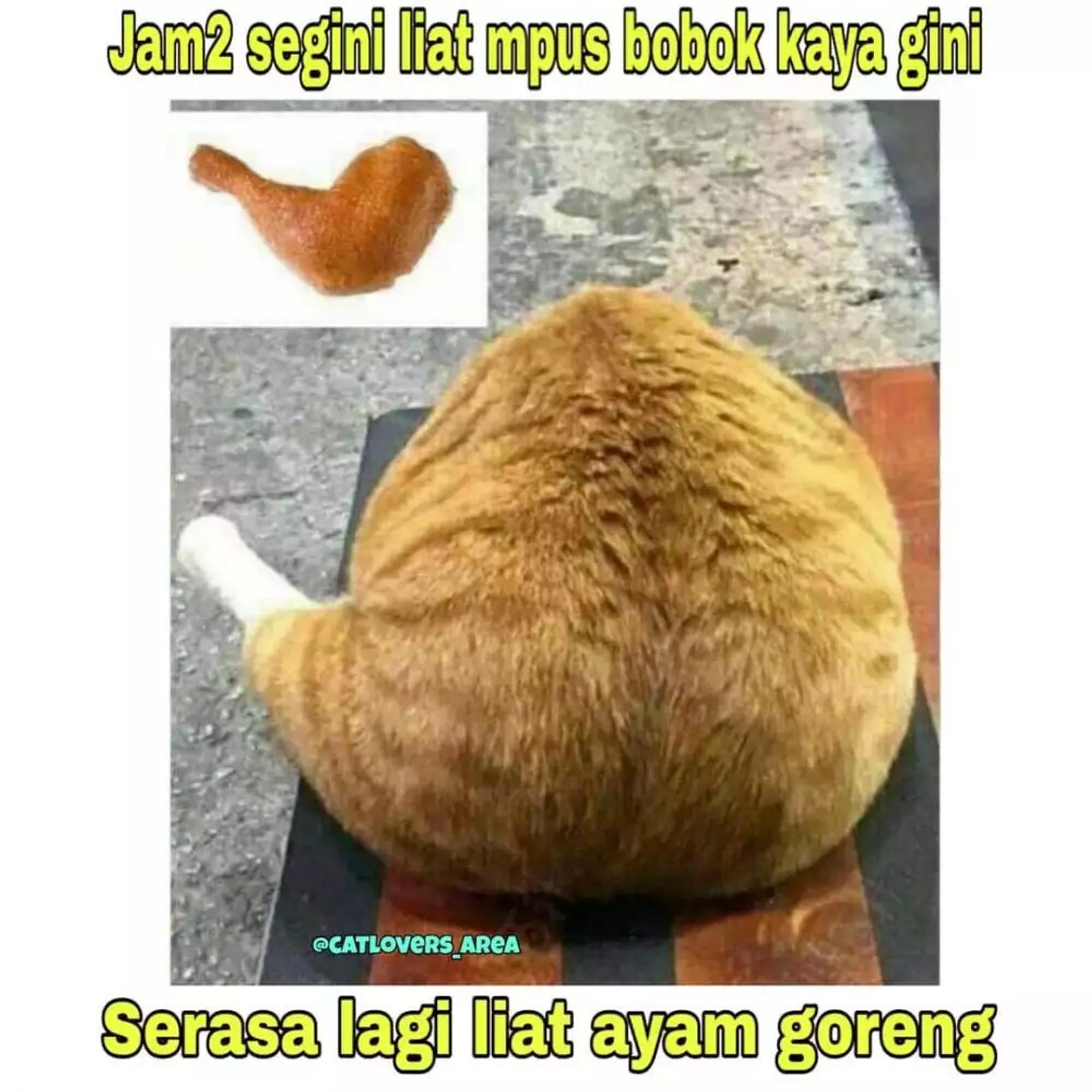 13 Meme Salah Fokus Ketika Bulan Puasa, Apakah Terjadi Padamu?