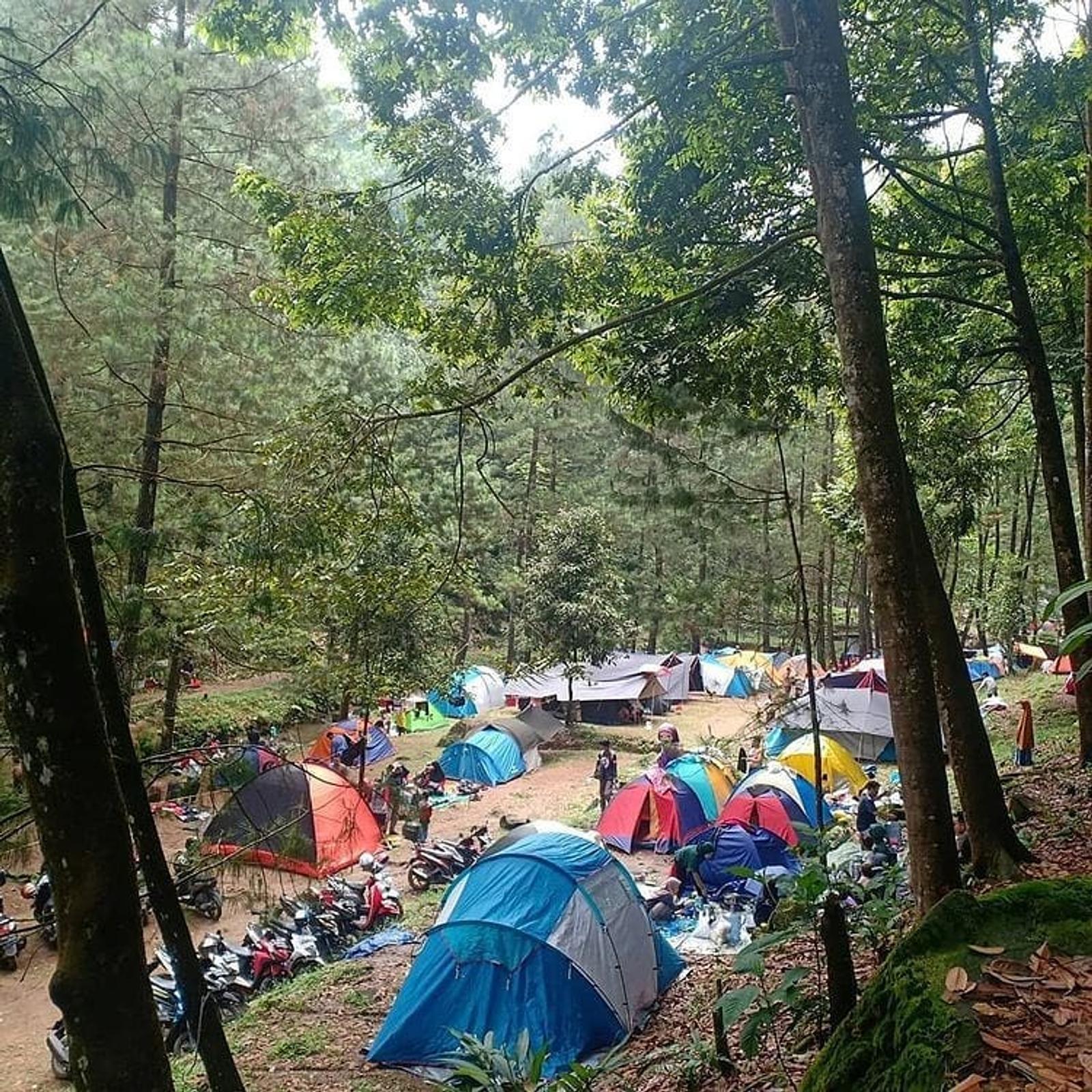 10 Tempat Camping di Bogor yang Seru dan Nyaman