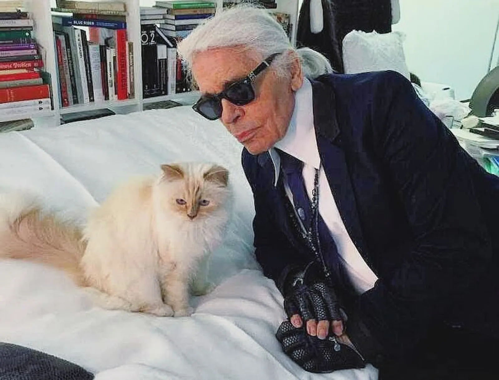 9 Fakta Choupette, Kucing Karl Lagerfeld yang Diundang Ke Met Gala