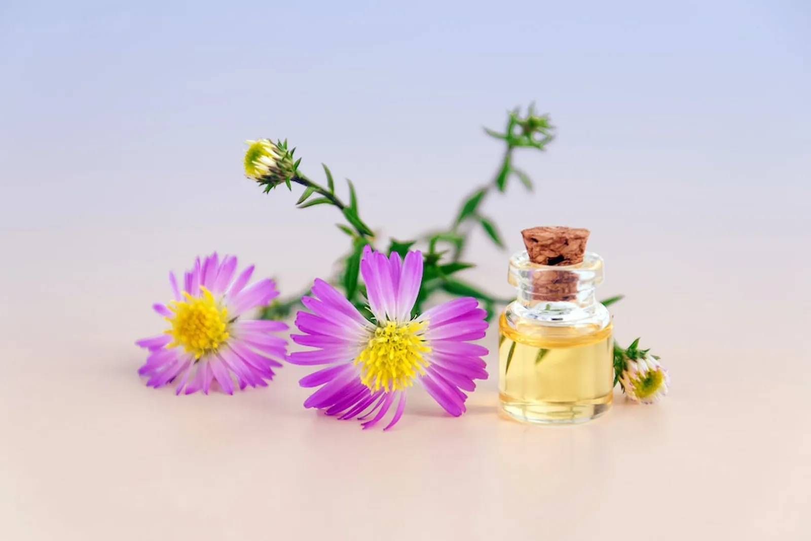 Tips Memilih Parfum Saat Musim Panas 