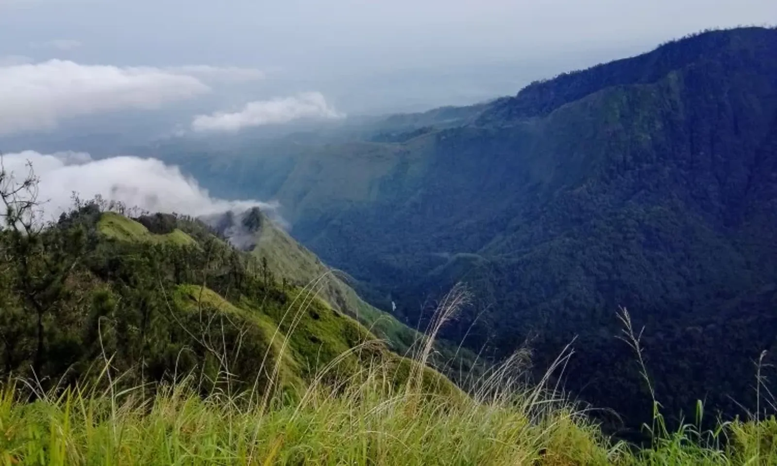 Pernah Resmi Ditutup, Ini 8 Fakta Gunung Anjasmoro di Jawa Timur