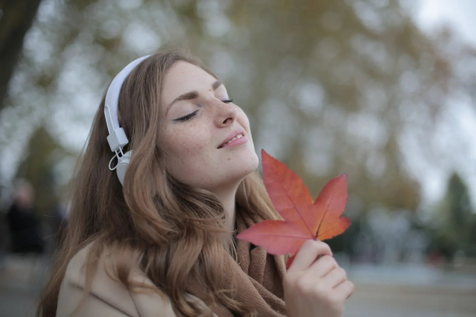 13 Tanda Kamu Seorang Penyendiri, tapi Bukan Introvert 