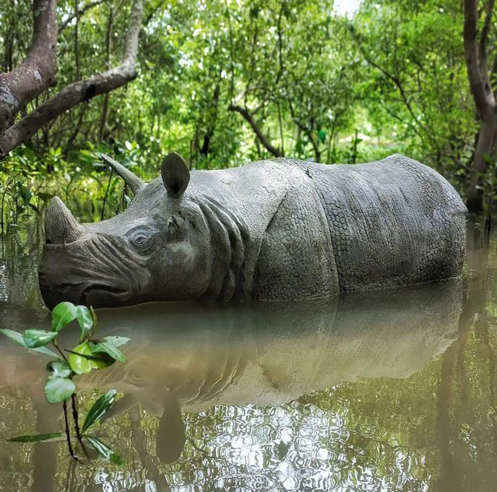 Taman Nasional Ujung Kulon: Rute, Harga Tiket, & Spot Ikonik