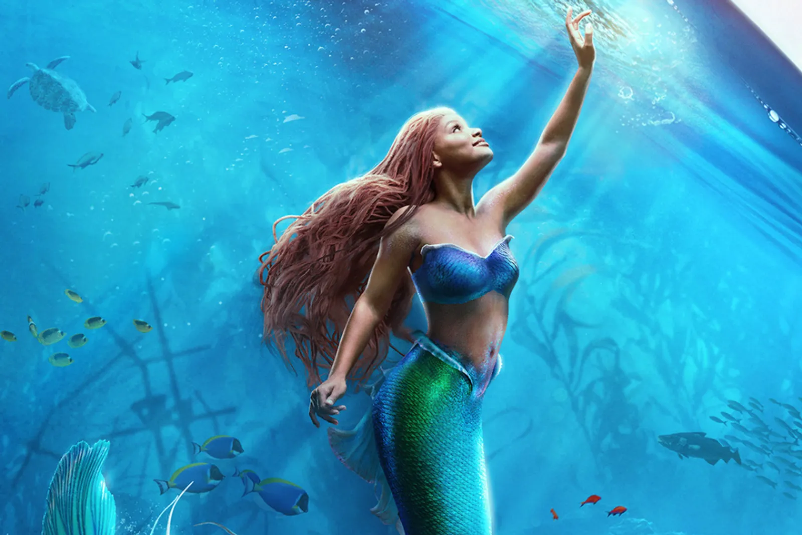 Lirik "Part of Your World" - OST Disney's The Little Mermaid