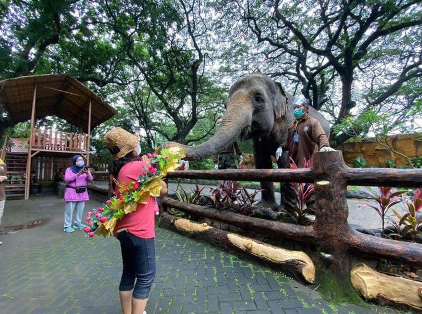 Kebun Binatang Surabaya: Lokasi, Harga Tiket, & Wahana Seru