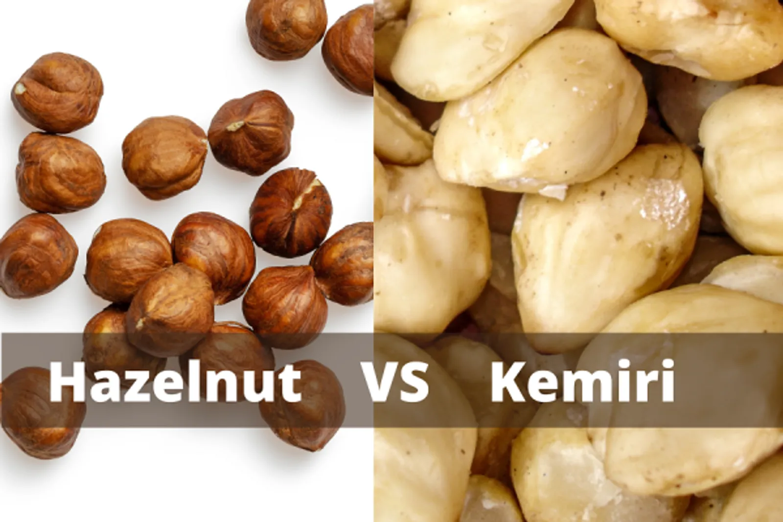 Apakah Kemiri Sama Dengan Hazelnut? Simak Pembahasannya Di Sini