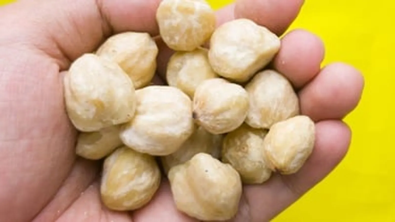 Apakah Kemiri Sama Dengan Hazelnut? Simak Pembahasannya Di Sini